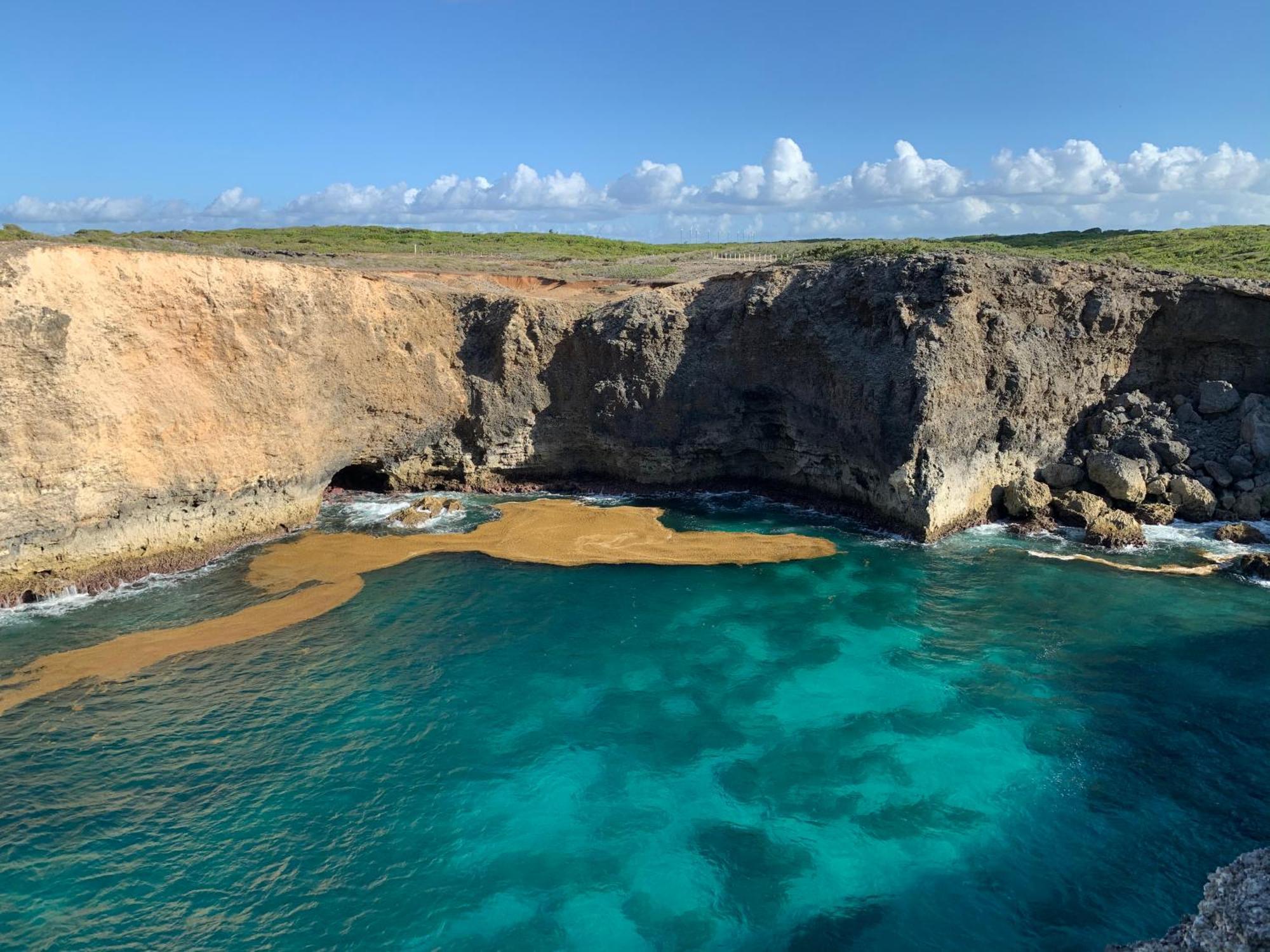La Maison Creole Du Flamboyant - Proche Des Plages Anse-Bertrand Esterno foto