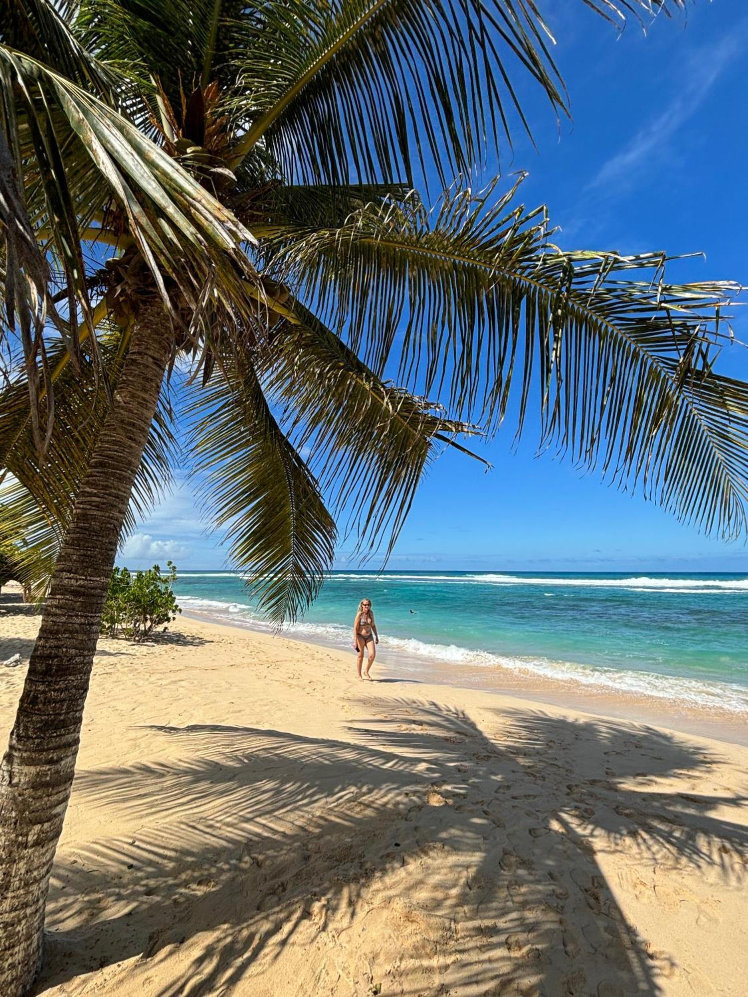 La Maison Creole Du Flamboyant - Proche Des Plages Anse-Bertrand Esterno foto
