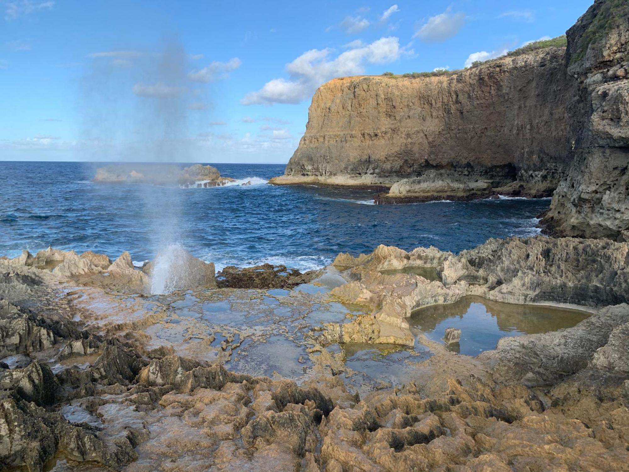 La Maison Creole Du Flamboyant - Proche Des Plages Anse-Bertrand Esterno foto