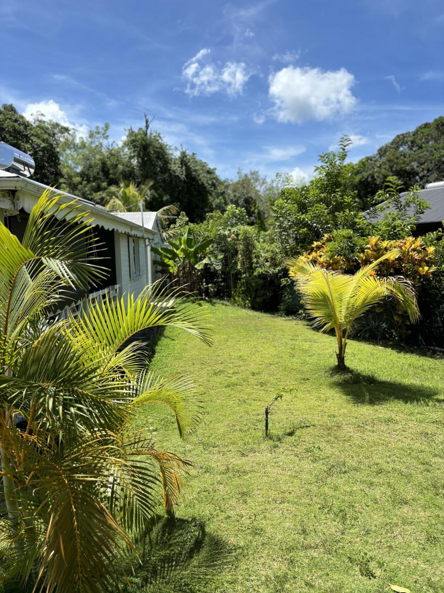 La Maison Creole Du Flamboyant - Proche Des Plages Anse-Bertrand Esterno foto