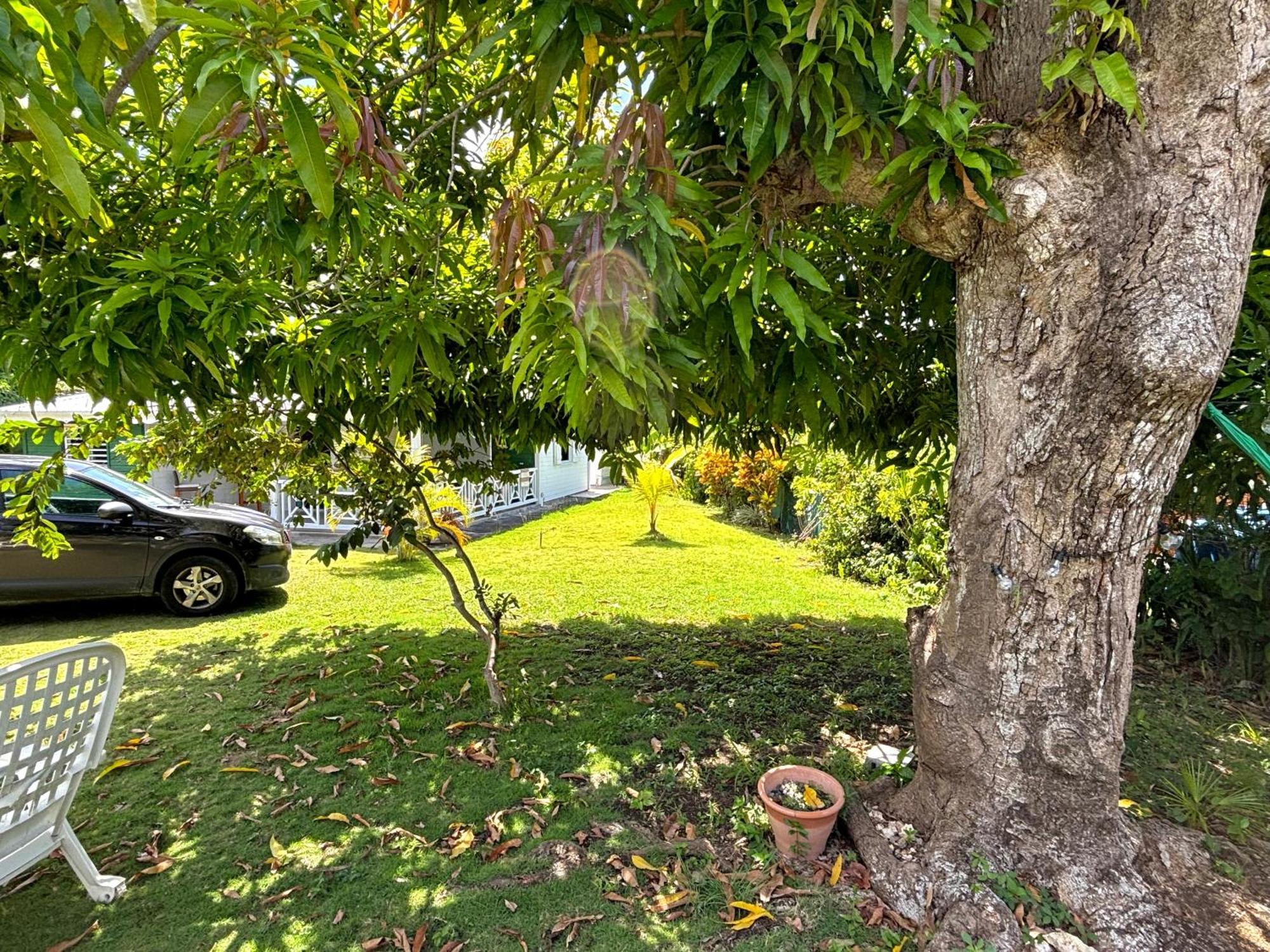 La Maison Creole Du Flamboyant - Proche Des Plages Anse-Bertrand Esterno foto